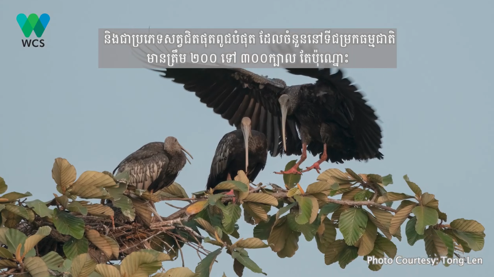 30_10_2025_a168.png
