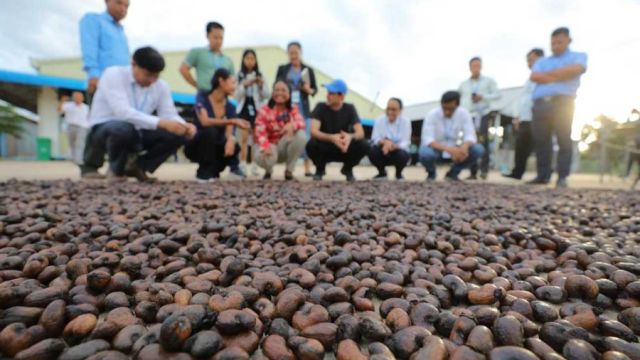 30_11_2023_The-agriculture-and-commerce-ministry-organised-press-tour-visits-a-cashew-processing-plant-in-Kampong-Thom-provinces-Chey-commune-in-Kampong-Svay-district-on-November-29.-HONG-MENEA.jpg