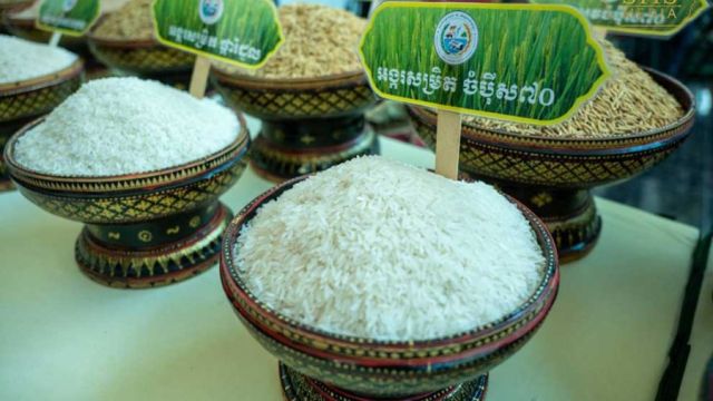 31_1_2024_samples_of_pure_rice_varieties_on_display_at_the_agriculture_ministry_s_annual_meeting_on_january_30_shs.jpg