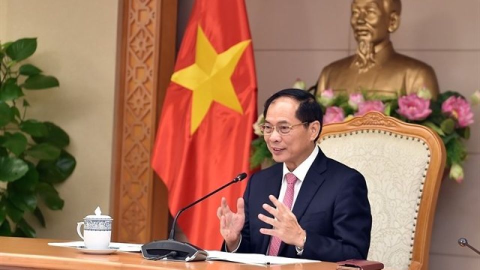 370795_4940023568506328_vna_potal_pho_thu_tuong_bo_truong_ngoai_giao_bui_thanh_son_dien_dam_voi_pho_thu_tuong_bo_truong_ngoai_giao_lao_7559246-1.jpg
