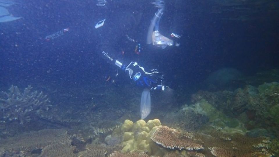 408305_14.jpg