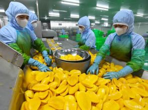 Vietnam–Japan trade surpasses $50 billion for the first time