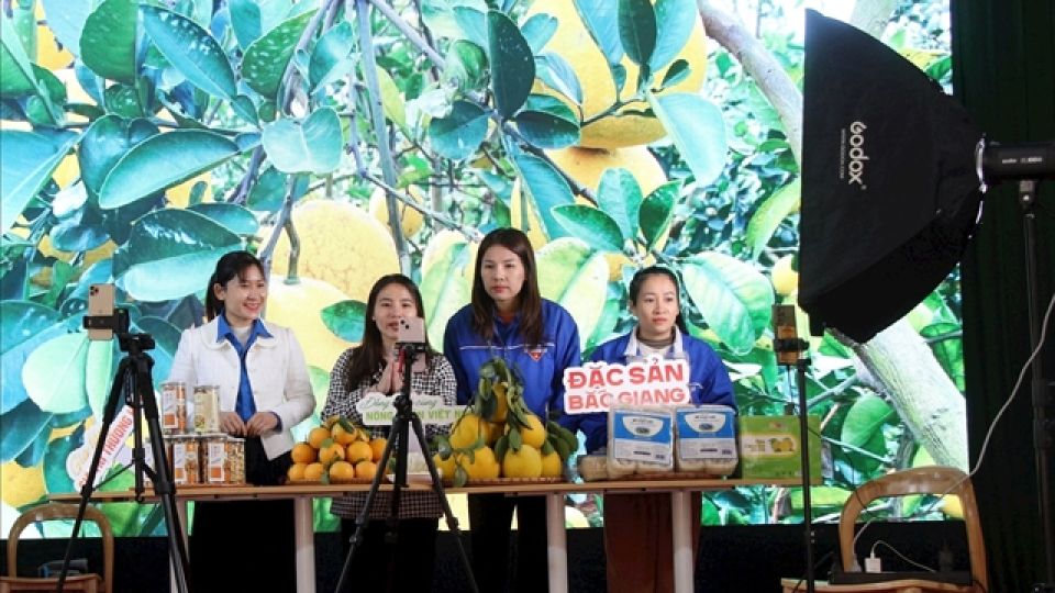 492949_5437697197560176_vna_potal_bac_giang_nang_cao_ky_nang_ban_hang_tren_san_thuong_mai_dien_tu_cho_nguoi_dan_7143139.jpg