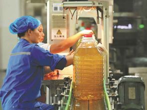Chinese investors boost growth in Malaysia
