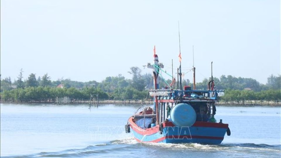 501336_tau-ca.jpg
