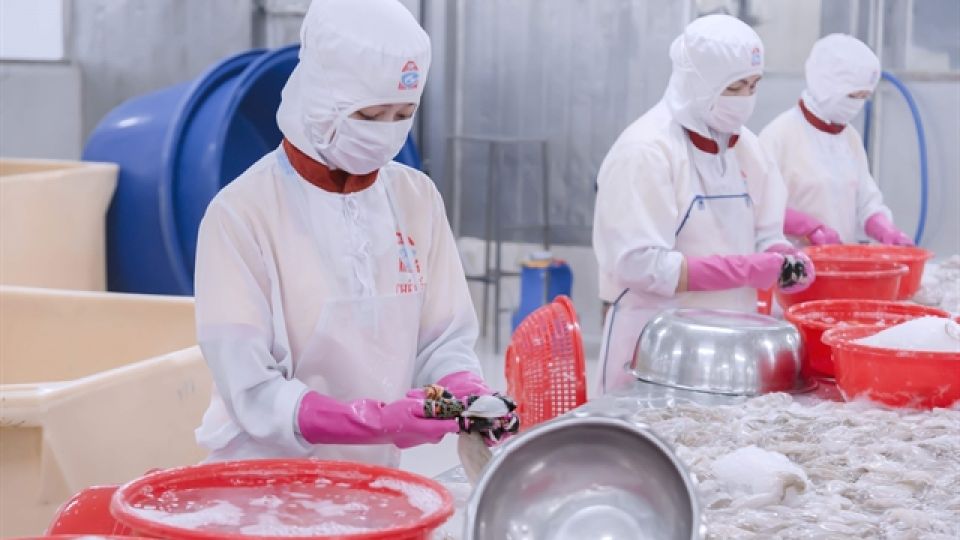 501860_seafood.jpg