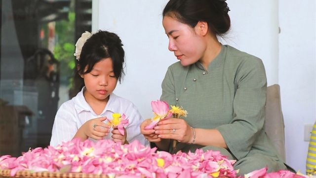 512042_vna_potal_tinh_hoa_nghe_uop_tra_sen_quang_an_8840711.jpg