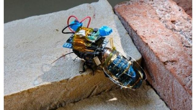 689161_365392_520_353_jpg.jpg