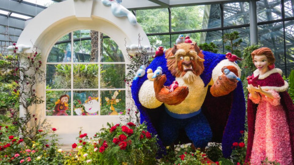 773026-Disney-princess-Belle-and.jpeg