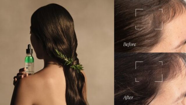 784051-KV-Hair-png-550x.jpeg