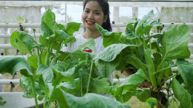 7_3_2024_a_woman_is_growing_vegetables_and_sharing_her_growing_techniques_online_rean_dam_via_fb.jpg