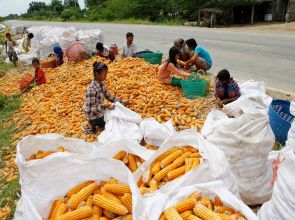 Experts confident Cambodian-Thai trade relations will continue as normal