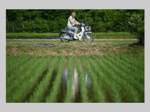 Rice crisis: Agriculture minister considers review of Japan’s rice harvest statistics