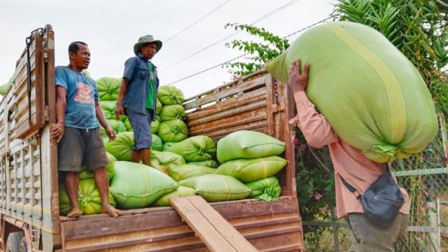 8_1_2024_topic_13_customer_was_collected_buye_rice_from_peoples_at_kampong_cham_district_on_07_01_024_by_van_socheata_2_.jpg