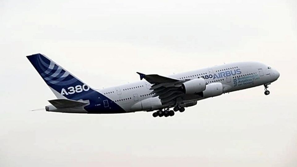9516924.jpg