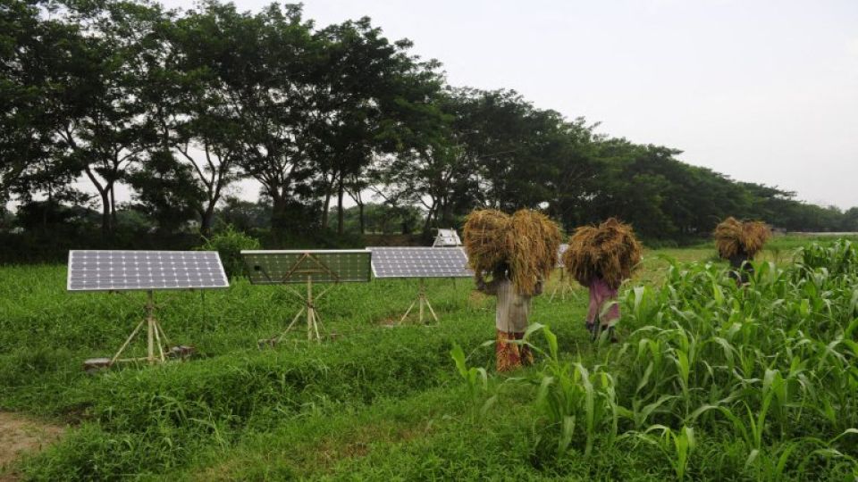 AFP__20110615__Del483967__v2001__MidRes__BangladeshEnergySolar.jpg
