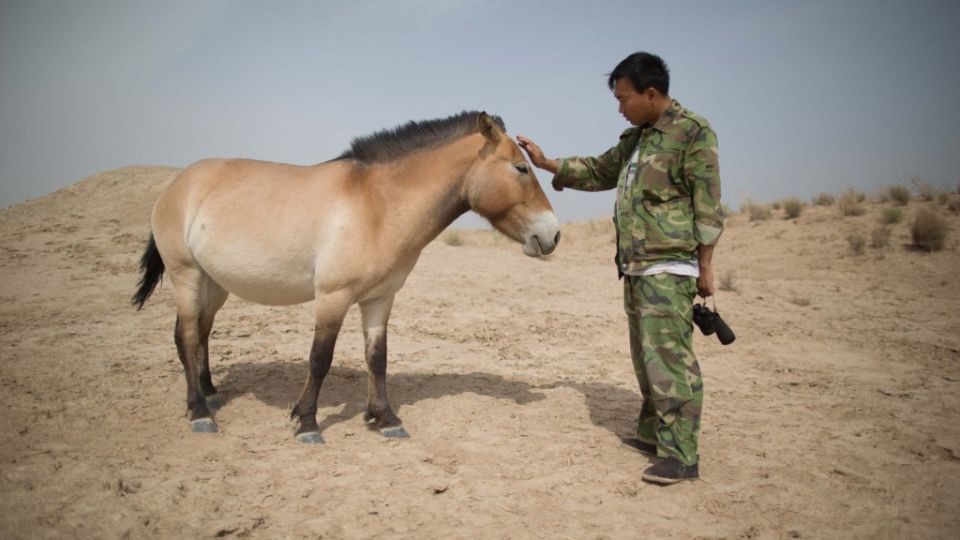 AFP__20130613__Hkg8687832__v1001__MidRes__ChinaRussiaEnvironmentAnimal.jpg