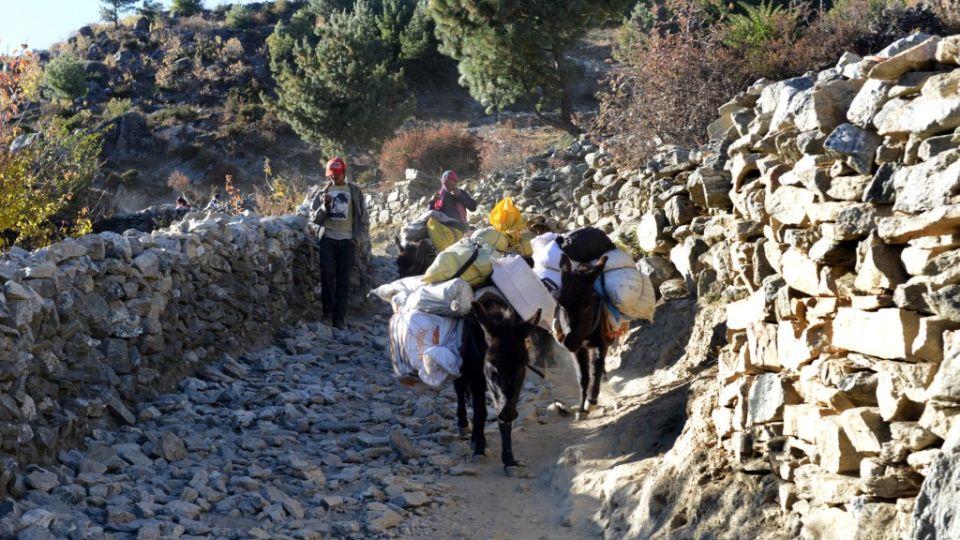 AFP__20150126__Hkg10139996__v1__MidRes__NepalChinaEconomyTradeTradition.jpg