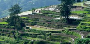 Nepal government pushes for release of farmer brothers held in India