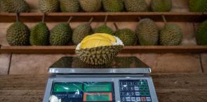 Durian prices crash to US$0.12 each as oversupply hits market