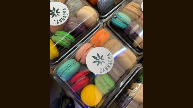 AFP__20210324__96K7H3__v1__MidRes__ThailandHealthCannabis.jpg