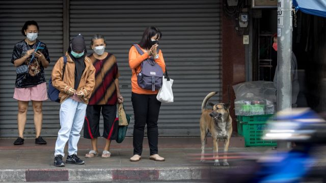 AFP__20221215__333X6KZ__v1__MidRes__ThailandSocietyLifestyle.jpg
