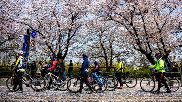AFP__20230403__33CK6XN__v1__MidRes__SkoreaLifestyleWeather.jpg