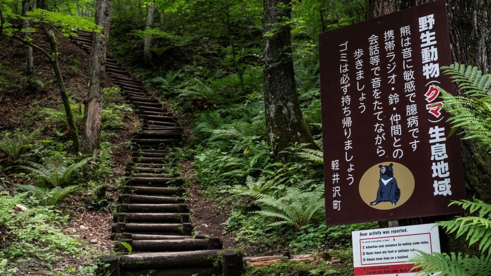 AFP__20230705__33MK4Y7__v1__MidRes__JapanNatureTourism.jpg
