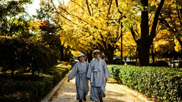 AFP__20231102__33ZR6B3__v1__MidRes__SkoreaLifestyleAutumn.jpg