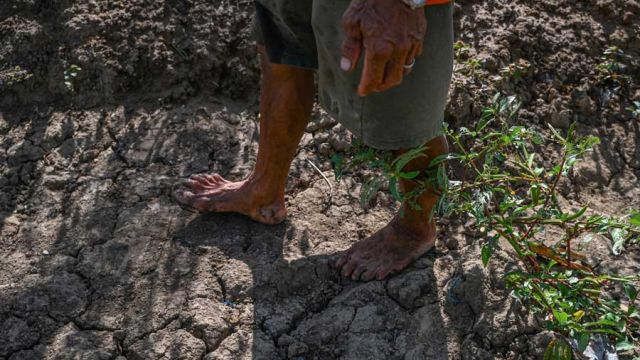 AFP__20240429__34QF837__v1__MidRes__PhilippinesWeatherDroughtClimate.jpg