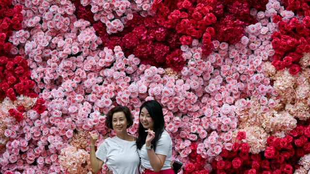 AFP__20240926__36H64QY__v1__MidRes__MalaysiaLifestyle.jpg