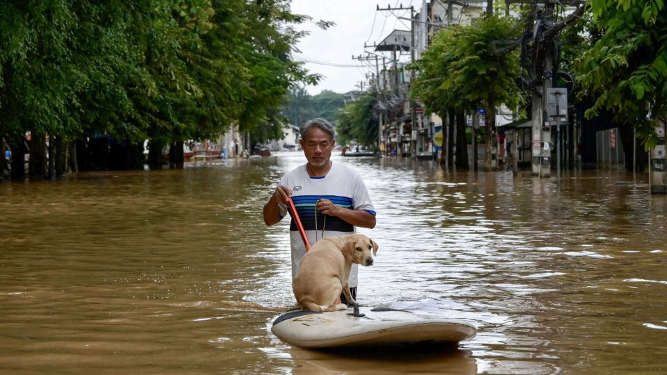 AFP__20241006__36JC6FR__v4__MidRes__ThailandFloodEnvironment.jpg