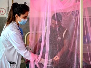 Nepal fears over 60,000 people could get infected with dengue in next three months