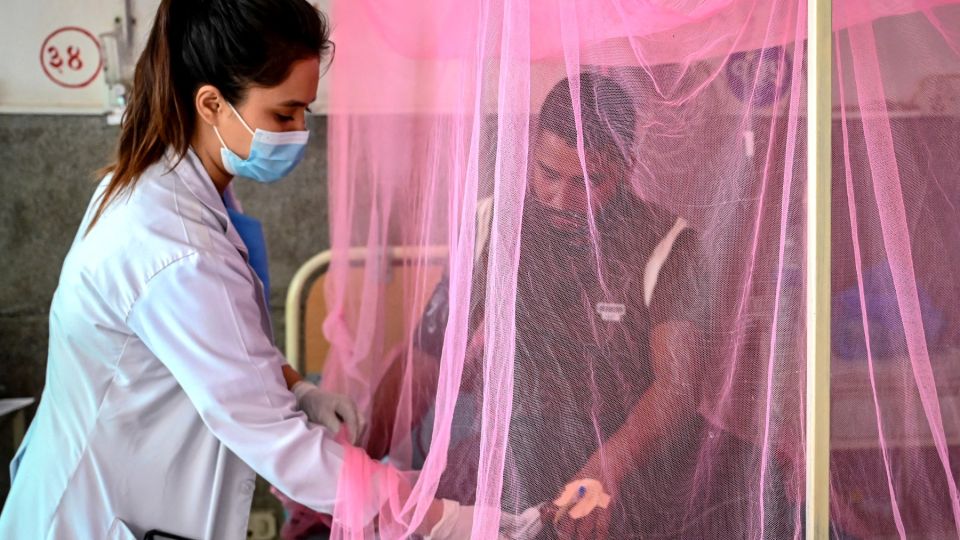 AFP__20241101__36KL2ZG__v1__MidRes__NepalHealthClimateDengue.jpg