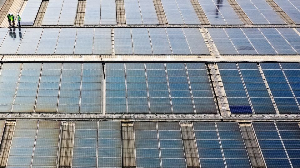 AFP__20241124__36N36MY__v1__MidRes__IndiaEnergySolar.jpg