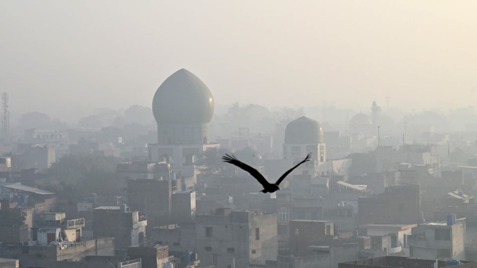 AFP__20241126__36NB476__v1__MidRes__PakistanEnvironmentPollution.jpg