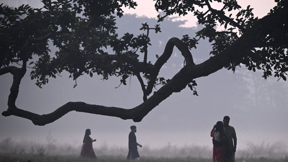 AFP__20241205__36PJ2RQ__v1__MidRes__IndiaWeatherFog.jpg