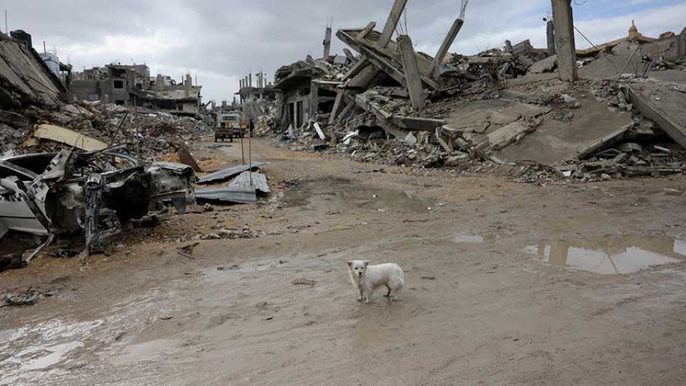 AFP__20250206__36XA2D6__v3__MidRes__TopshotPalestinianIsraelConflictDisplaced.jpg