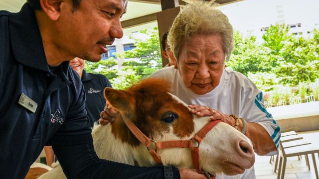 AFP__20250211__36XL37V__v1__Preview__SingaporeHealthAgeismTherapyAnimal.jpg