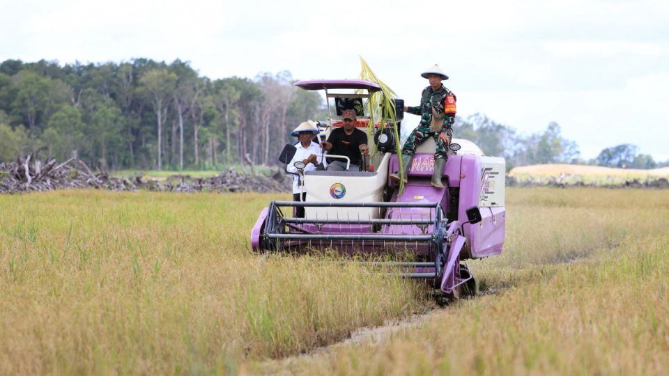 AFP__20250422__42MM6WR__v1__MidRes__IndonesiaEnvironmentAgriculture.jpg