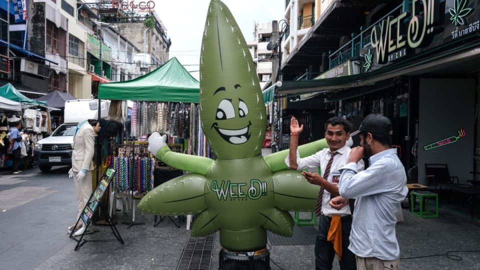 AFP__20250523__47UZ7AK__v1__MidRes__ThailandEconomyLifestyleDrugsCannabis.jpg