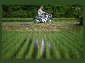 Rice crisis: Agriculture minister considers review of Japan’s rice harvest statistics
