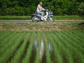 Rice crisis: Agriculture minister considers review of Japan’s rice harvest statistics