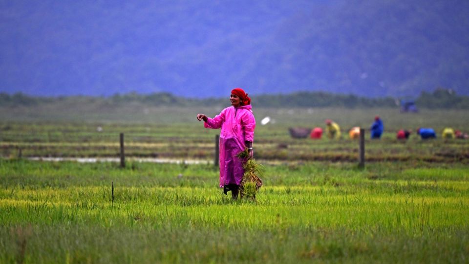 AFP__20250606__49HL664__v1__MidRes__NepalEconomyAgriculture.jpg