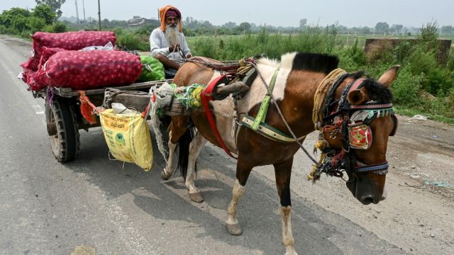 AFP__20250705__64VD8G8__v3__MidRes__IndiaUsTariffTradeEconomy.jpg