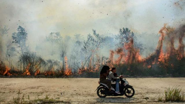 AFP__20250719__679N4VT__v2__MidRes__TopshotIndonesiaEnvironmentFire.jpg