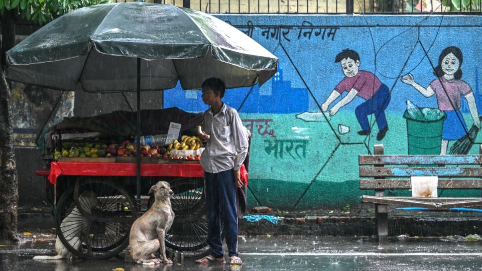 AFP__20250814__69HD3A2__v1__MidRes__IndiaWeatherRainDogs.jpg