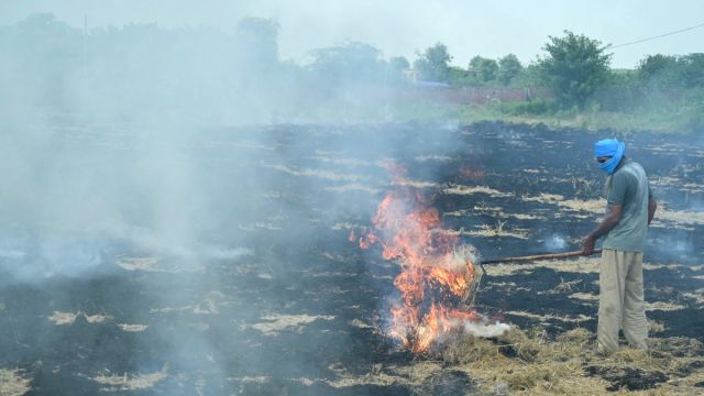 AFP__20250916__74NP3TJ__v1__MidRes__IndiaAgriculturePollution.jpg