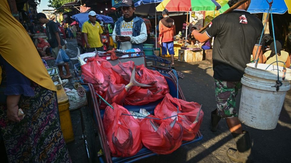 AFP__20251009__788K98G__v1__MidRes__IndonesiaEconomy.jpg