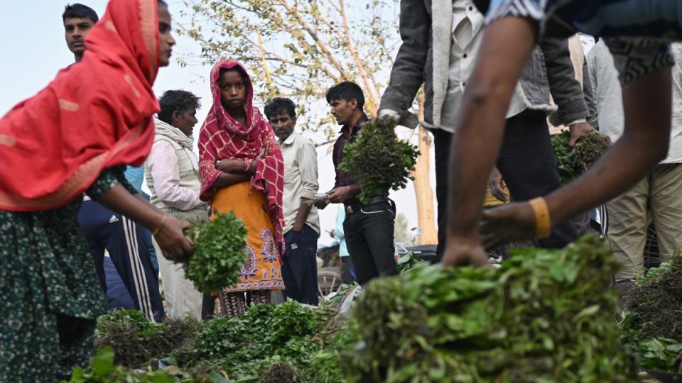 AFP__20251107__83CA88X__v1__MidRes__IndiaEconomyLifestyle.jpg